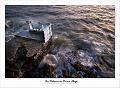 paysage 22_01_11n02